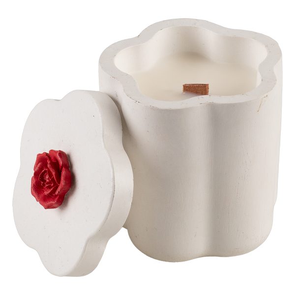 &Phi;&upsilon;&tau;&iota;&kappa;ό &Kappa;&epsilon;&rho;ί &Sigma;ό&gamma;&iota;&alpha;&sigmaf; &sigma;&epsilon; &Pi;&omicron;&rho;&sigma;&epsilon;&lambda;ά&nu;&eta; &sigma;&chi;ή&mu;&alpha; &Lambda;&omicron;&upsilon;&lambda;&omicron;&upsilon;&delta;&iota;&omicron;ύ