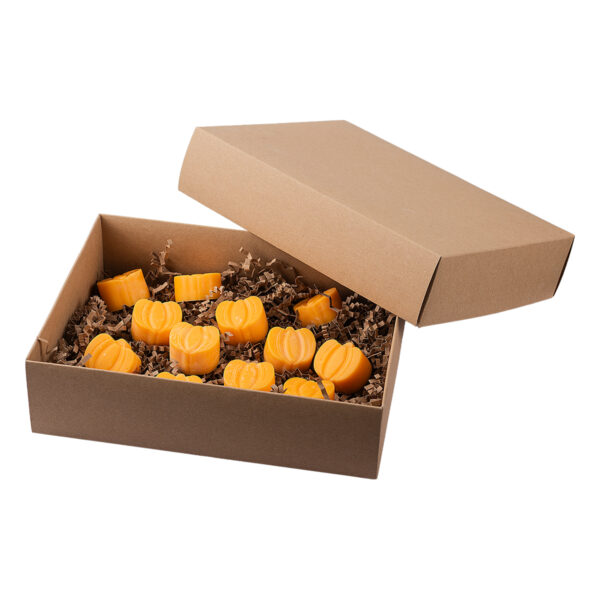 Wax Melts Κολοκύθα (12τμχ)